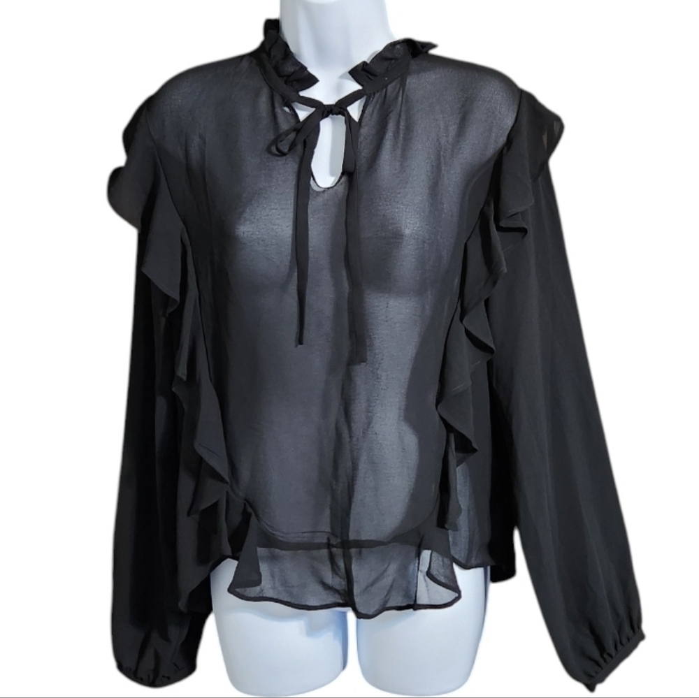 NWT Anna Cai Mesh Sheer Ruffle Top